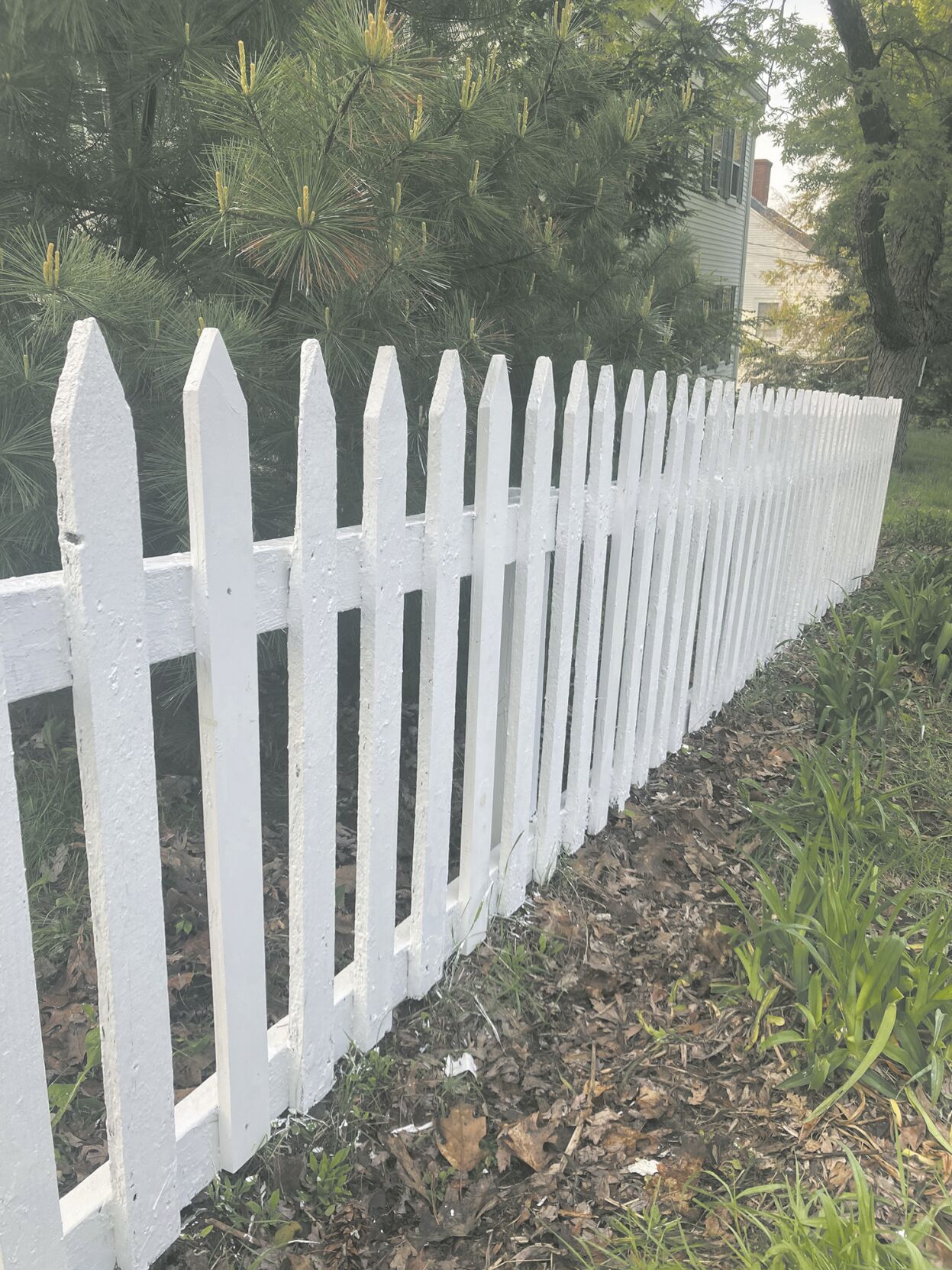 Fresh paint