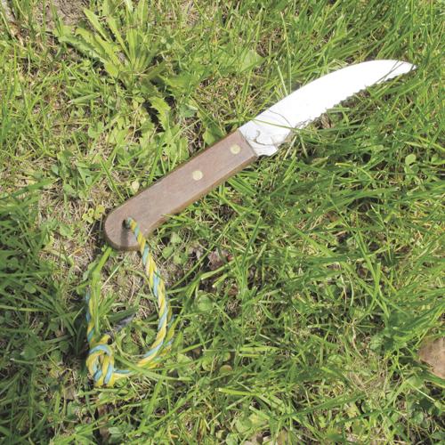 10-12 FALL HOME This knife.jpg