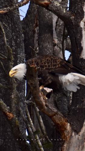 Reader Pics: March 2