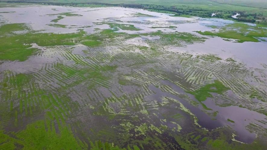 Early farmers achieved “engineering wonder” by building huge irrigation system