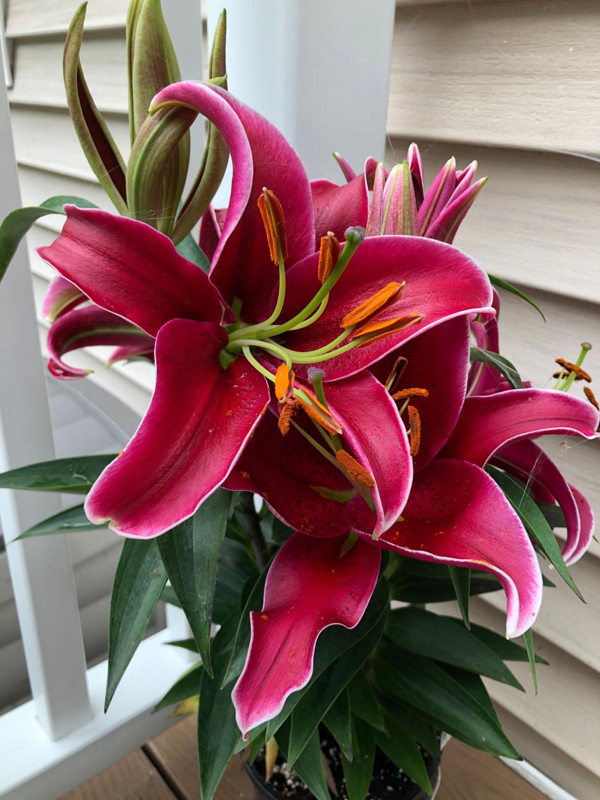 Reader Pics: July 25