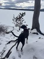 Reader Pics: Jan. 19