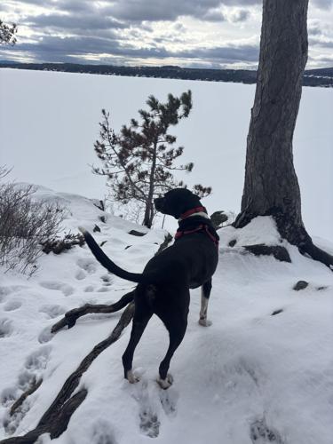 Reader Pics: Jan. 19