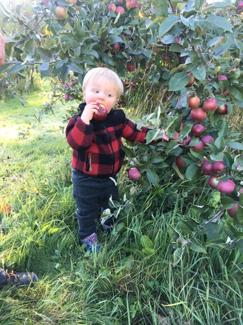 Reader Pics: Nov. 6