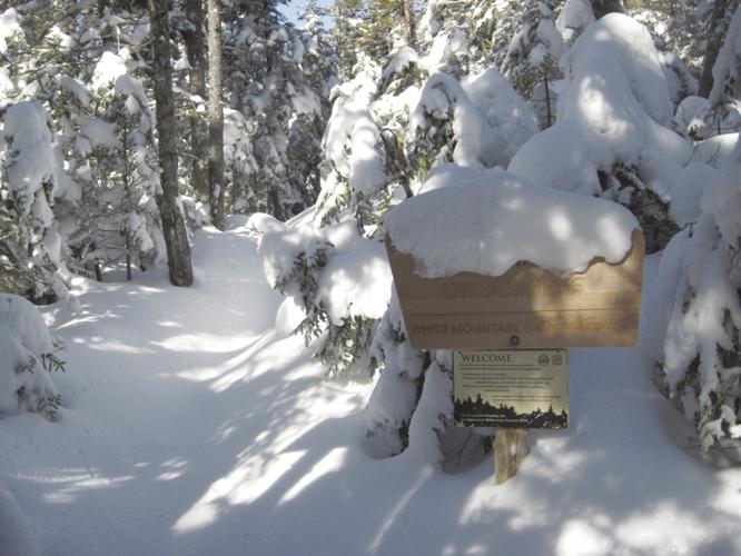 02-21 OUTDOORS IMG_3632.jpg