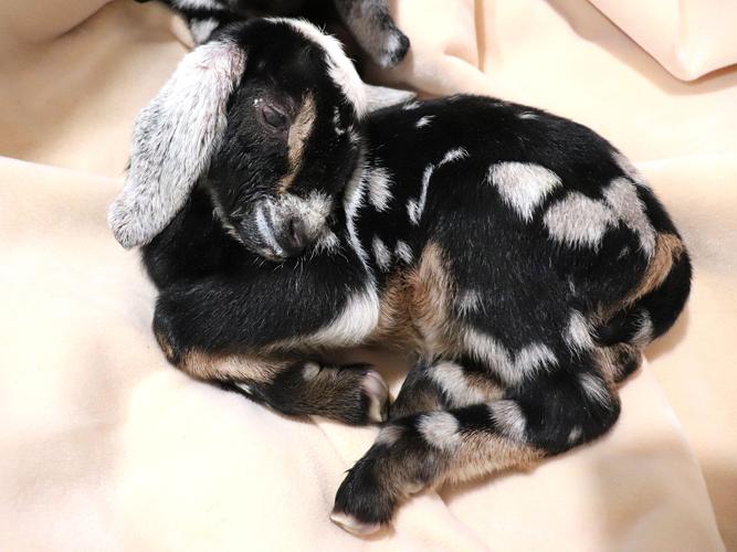 Reader Pics: March 19