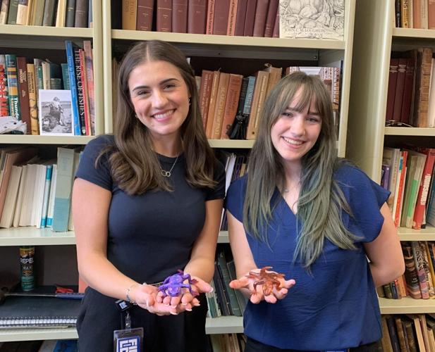 Newly identified frog-like creature named by student scientists after their mums