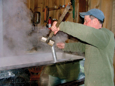 Maple syrup season off to good start