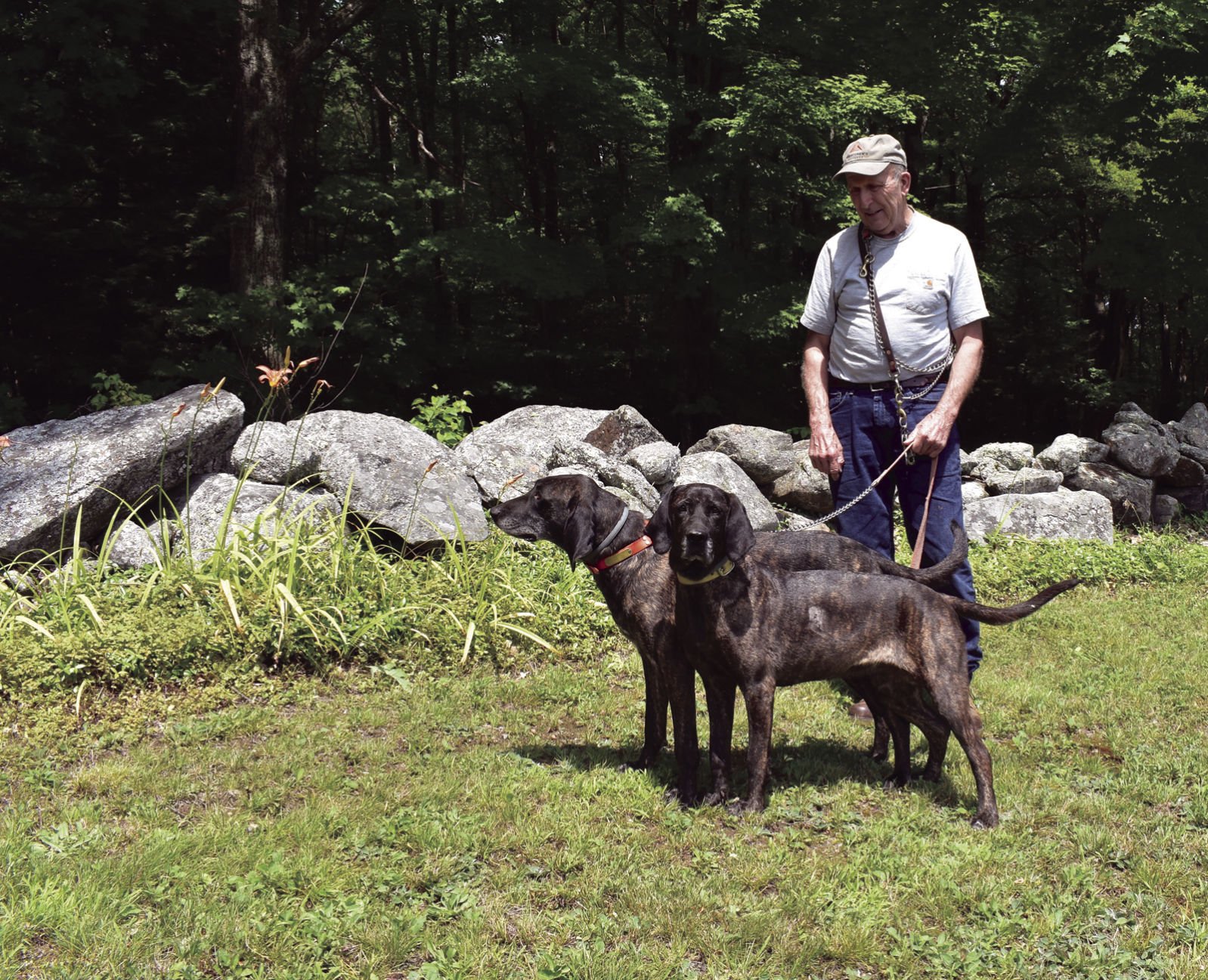 Bear store hound training