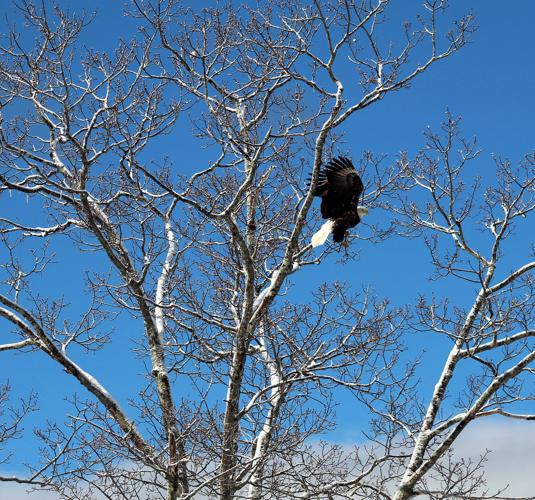 Reader Pics: April 13