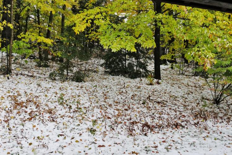 Reader Pics: Oct. 30