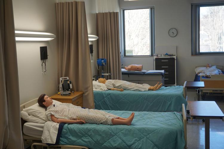 Health sciences