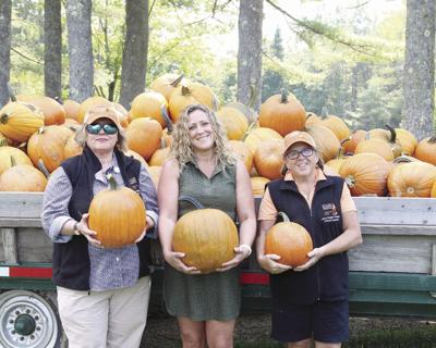10-27 COM pumpkin fest