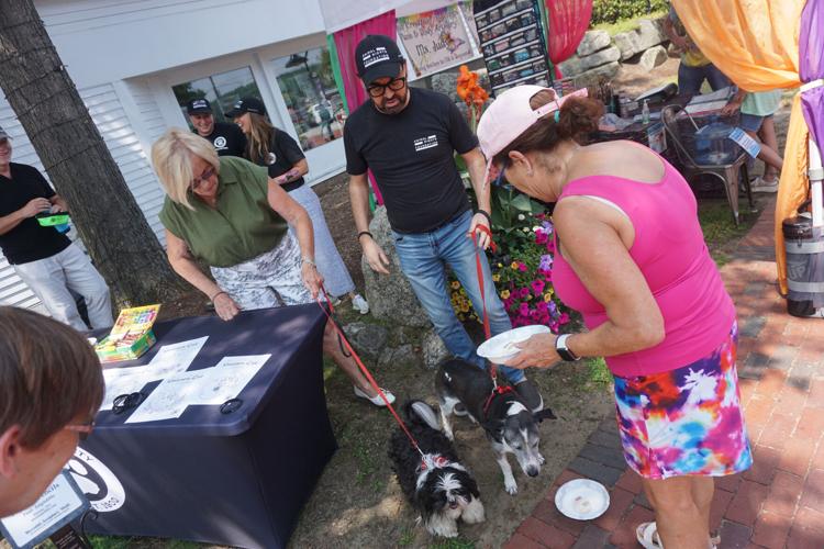 Doggie Delights