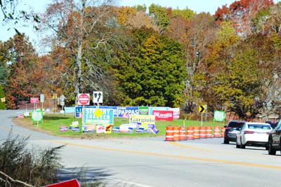 Campaign signs