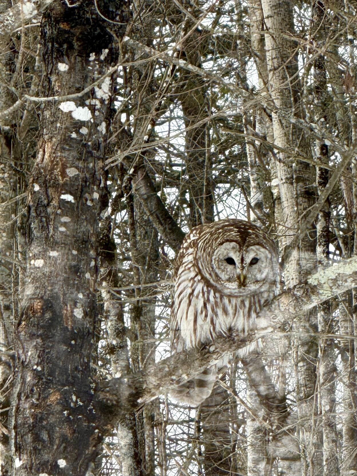 Reader Pics: Feb. 12