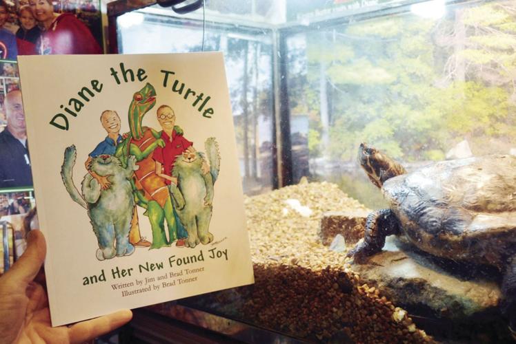 Diane the Turtle