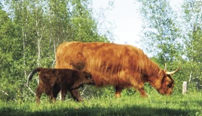 07 OUTOORS Carole Soule_maggots.jpg