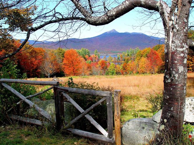 Reader Pics: Nov. 14