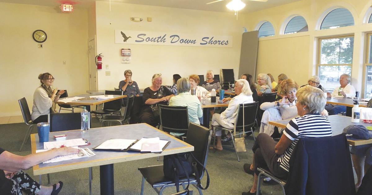 South Down Home & Garden Club welcomed Laconia Library’s Natalie Moser to discuss book clubs and current fiction | Announcements