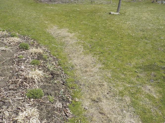 This dead spot