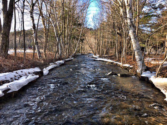 Reader Pics: April 8