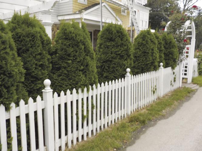 This picket fence is supplemented