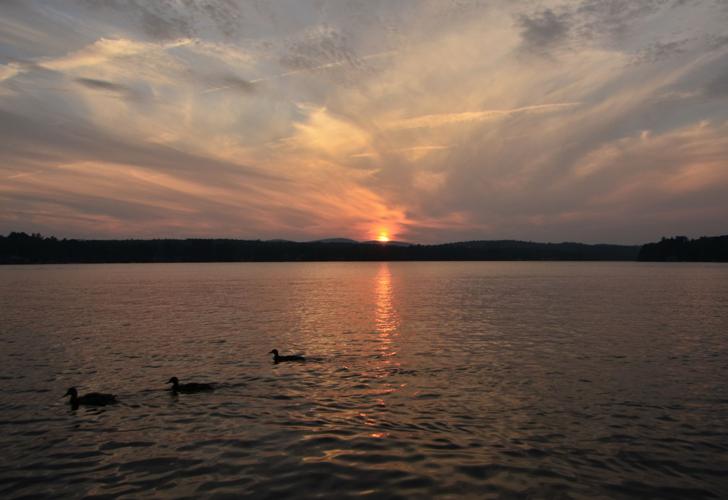 Reader Pics: July 12