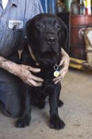 Luckybear and mechanic Ralph Sanborn