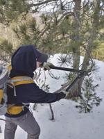 Volunteer Trail Work Days with The Squam Lakes Association