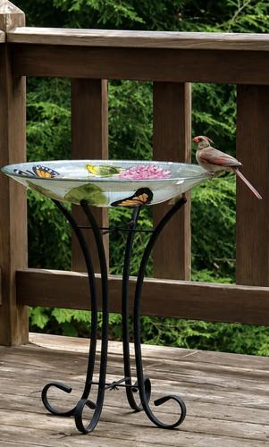 Reader Pics: Aug. 14