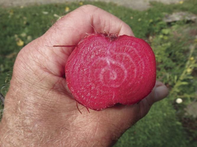 10-05 FALL HOME Sliced Swiss Chard.jpg