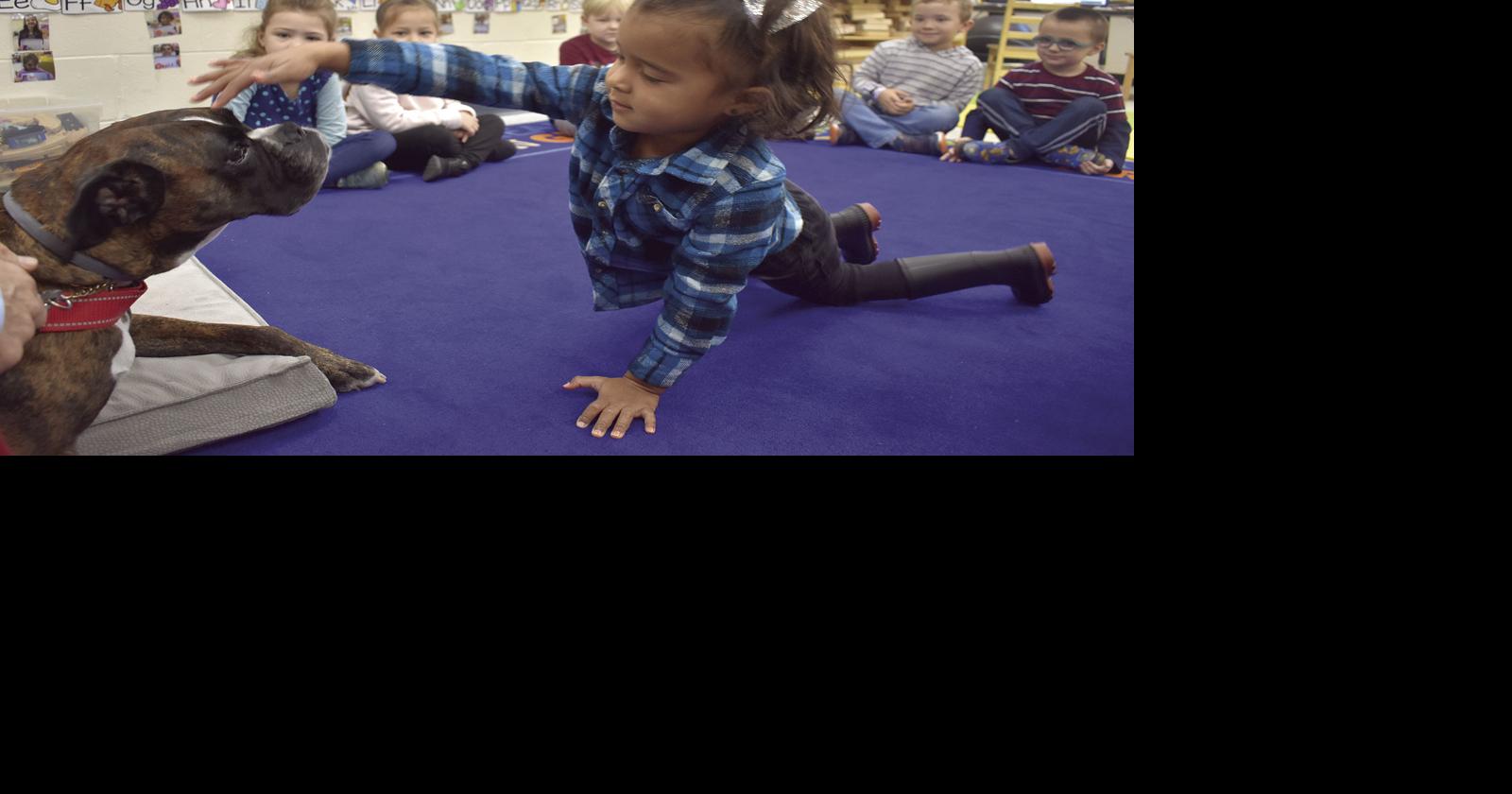 Therapy dog a gamechanger at Pleasant Street School Local News