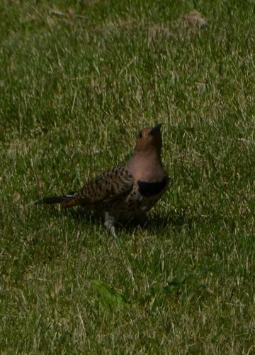 Reader Pics: June 13