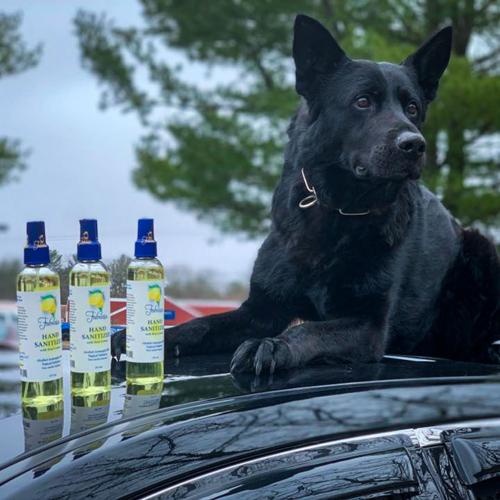 Police dog and sanitizer