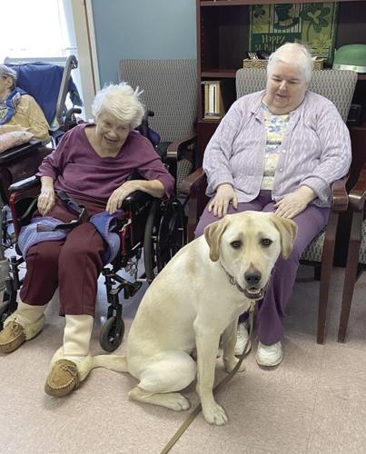 03-30 Franklin Dog.jpg