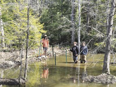 beaver dam