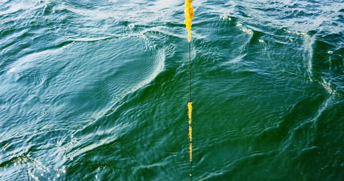 Don’t let lake invaders crash the party: Stop the spread of non-native ...