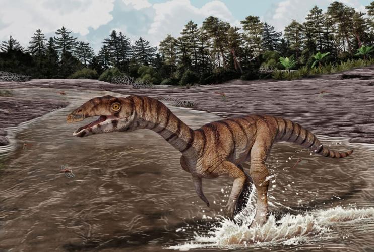 Newly discovered crocodile ancestor had body similar to an ostrich and no teeth