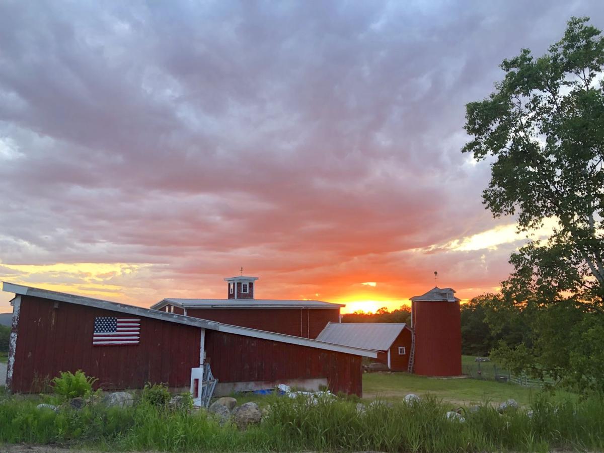 Reader Pics: June 9