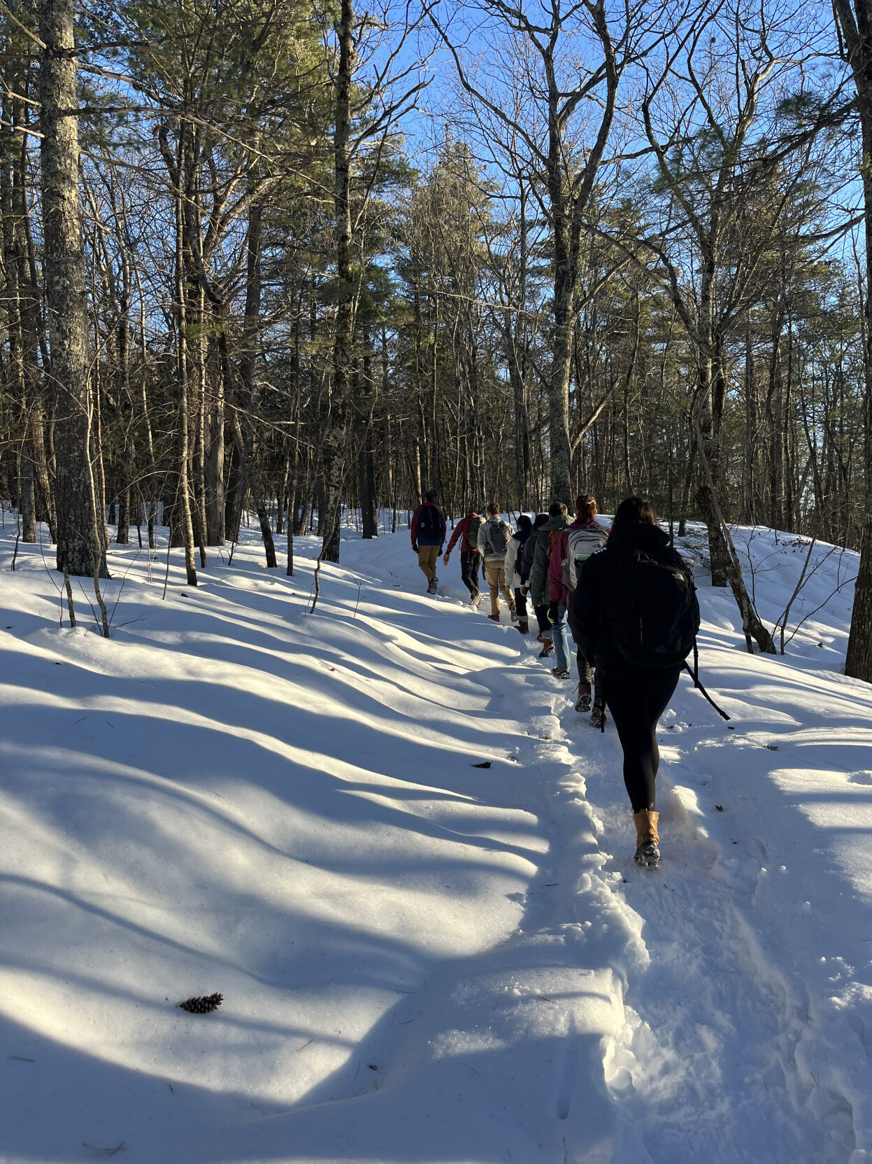 Snowshoeing