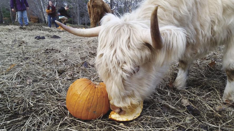 10-11 OUTDOORS Bella1.jpg