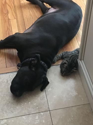 Reader Pics: Nov. 30