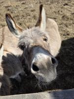 READER pics, reader-submitted shots of people, places, events, and scenery from around the Lakes Region