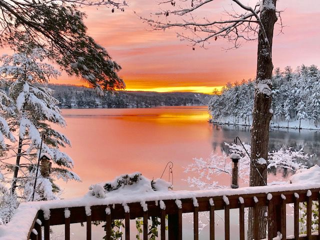 Reader Pics: Feb. 8