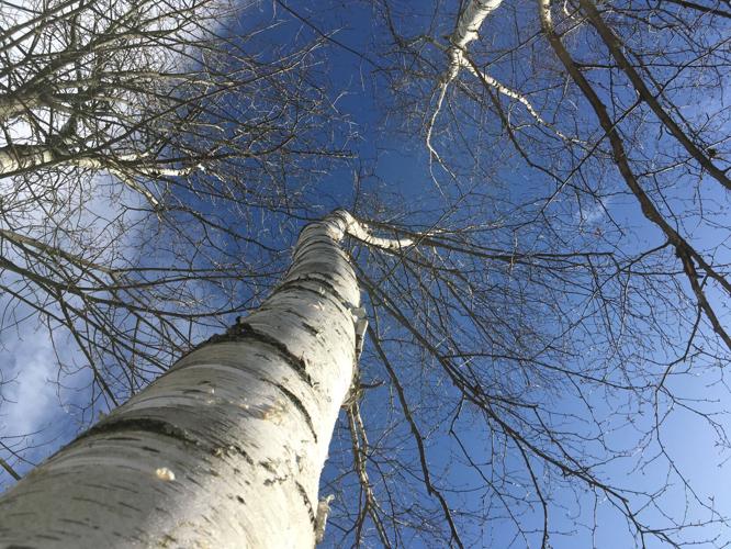 Reader Pics: March 13