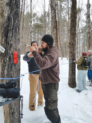 Prescott Farm offers maple sugaring demos