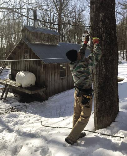 Canterbury festival4