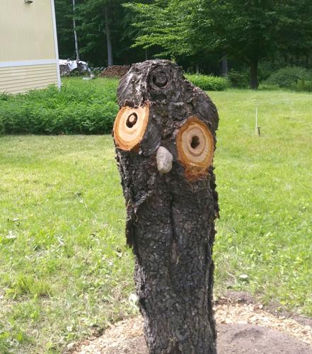 Reader Pics: June 11