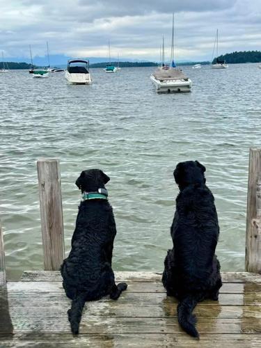 Reader Pics: Aug. 27
